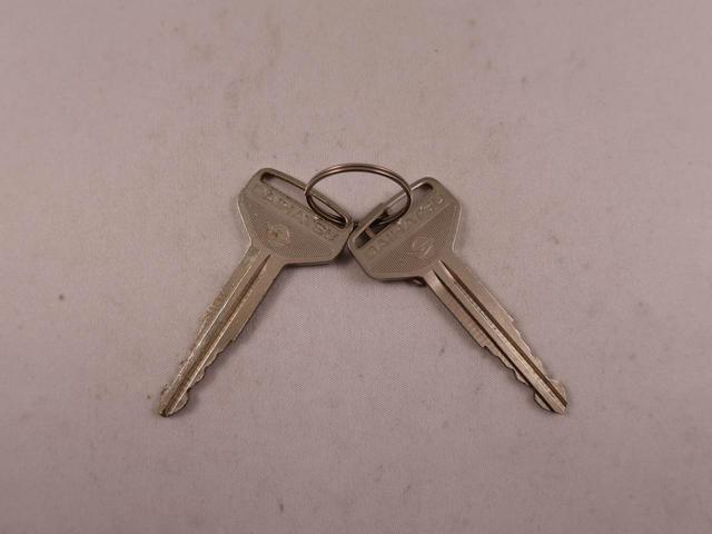 ハイゼットトラックスタンダードSAIIIt(愛知県)の中古車