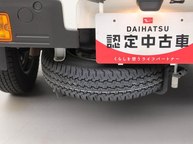 ハイゼットトラックスタンダード（愛知県）の中古車