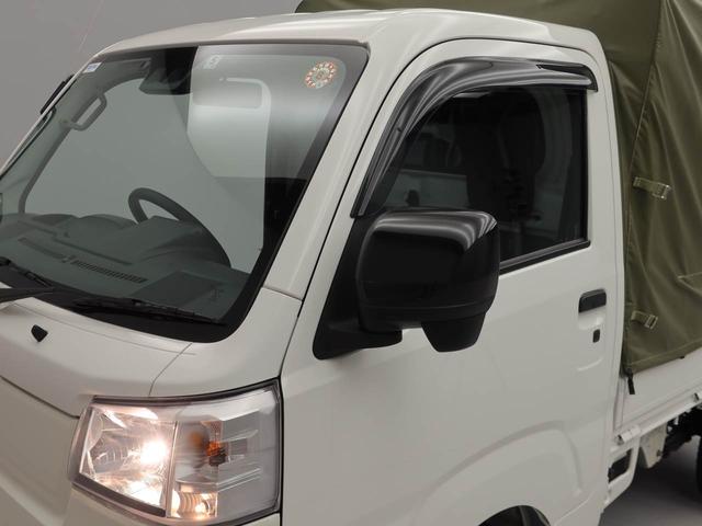 ハイゼットトラックスタンダード（愛知県）の中古車