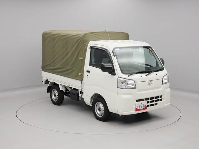 ハイゼットトラックスタンダード（愛知県）の中古車