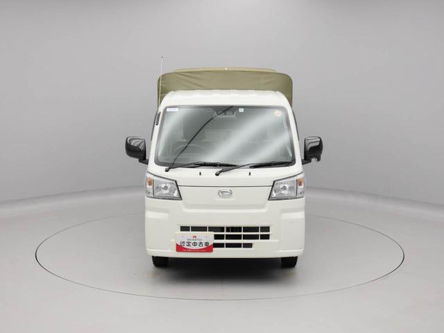 ハイゼットトラックスタンダード（愛知県）の中古車