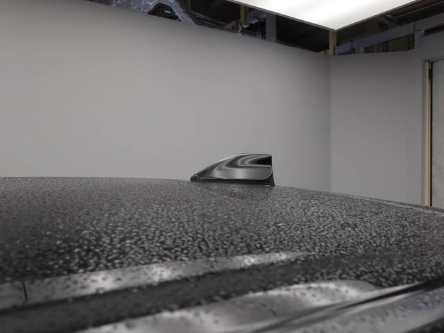 ロッキープレミアム（愛知県）の中古車