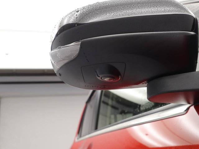 ロッキープレミアム（愛知県）の中古車