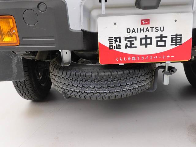 ハイゼットトラックスタンダード（愛知県）の中古車