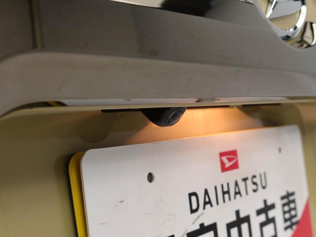 タフトG ダーククロムベンチャー(愛知県)の中古車