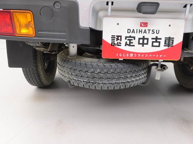 ハイゼットトラックスタンダード（愛知県）の中古車