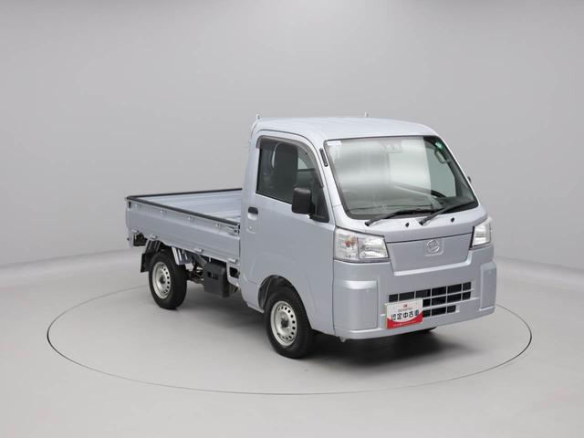 ハイゼットトラックスタンダード（愛知県）の中古車