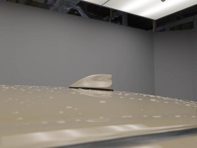 ロッキープレミアム　ナビ　ドライブレコーダー　ＥＴＣ　ＴＶ全方位モニタ　バックカメラ　ＬＥＤヘッドライト　アルミホイール　アイドリングストップ　プッシュスタート　エアバック　ＡＢＳ　ＣＶＴ　キーフリー（愛知県）の中古車