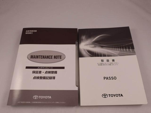 パッソモーダ（愛知県）の中古車