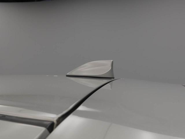 ロッキープレミアムＧ　ＨＥＶ（愛知県）の中古車