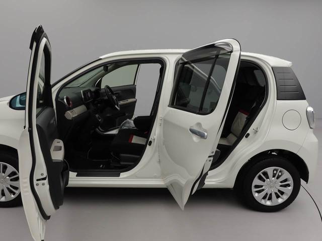 パッソモーダ（愛知県）の中古車