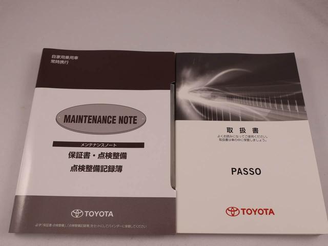 パッソモーダ（愛知県）の中古車