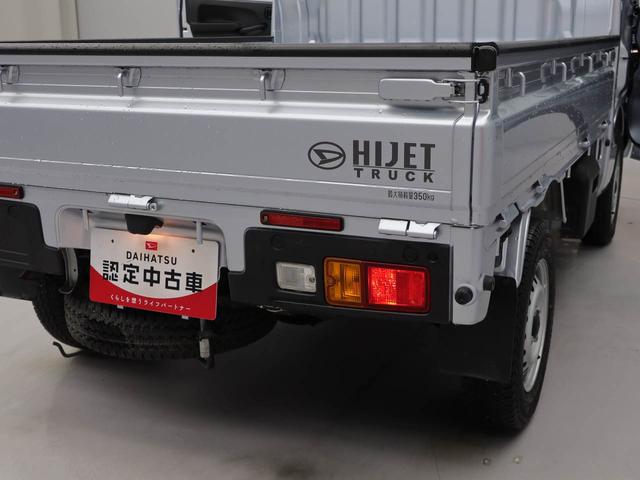 ハイゼットトラックスタンダード（愛知県）の中古車
