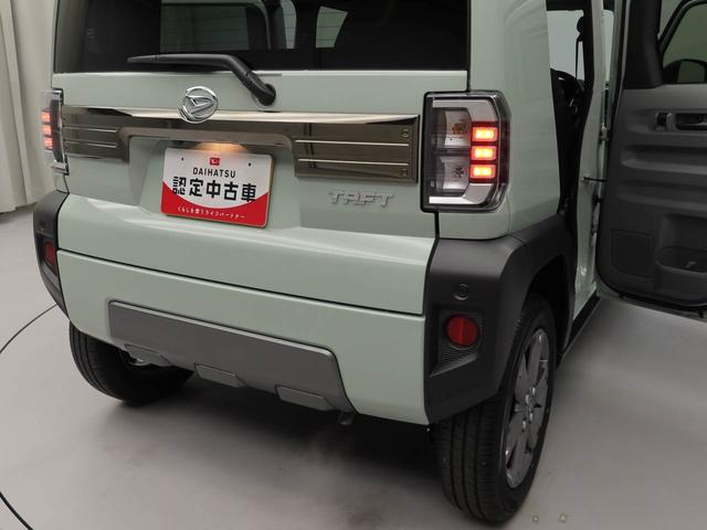 タフトＧ　ダーククロムベンチャー（愛知県）の中古車