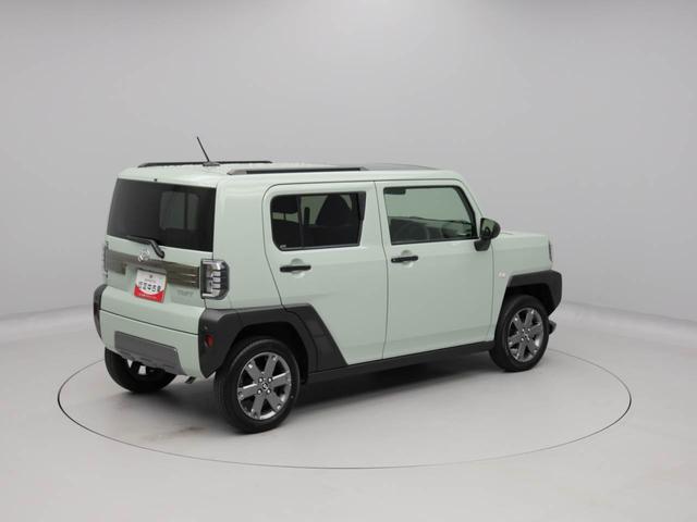 タフトＧ　ダーククロムベンチャー（愛知県）の中古車