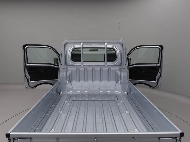ハイゼットトラックスタンダード（愛知県）の中古車