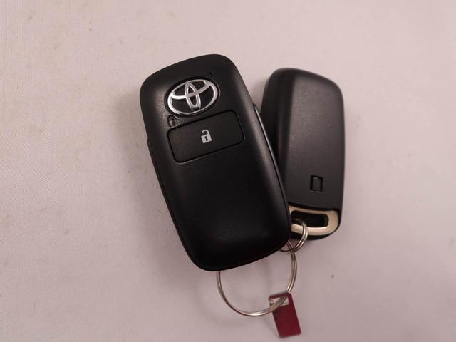 ライズZメモリーナビ パノラマカメラ ETC ドライブレコーダー(愛知県)の中古車