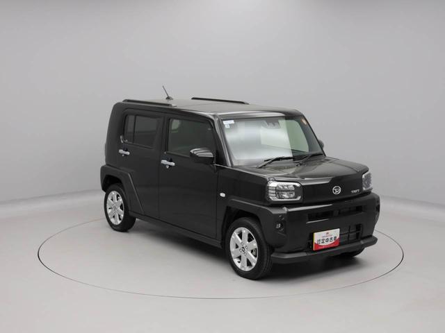 タフトＧ（愛知県）の中古車