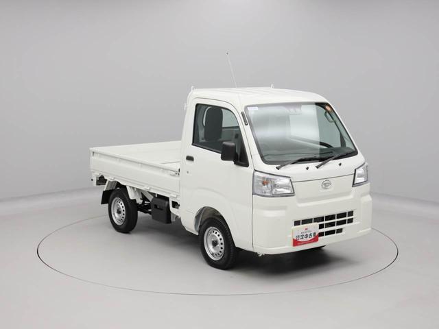 ハイゼットトラックスタンダード（愛知県）の中古車