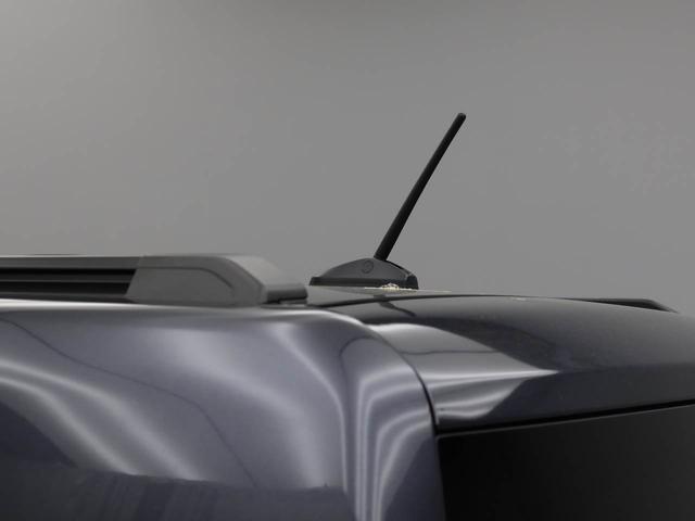 タフトG(愛知県)の中古車