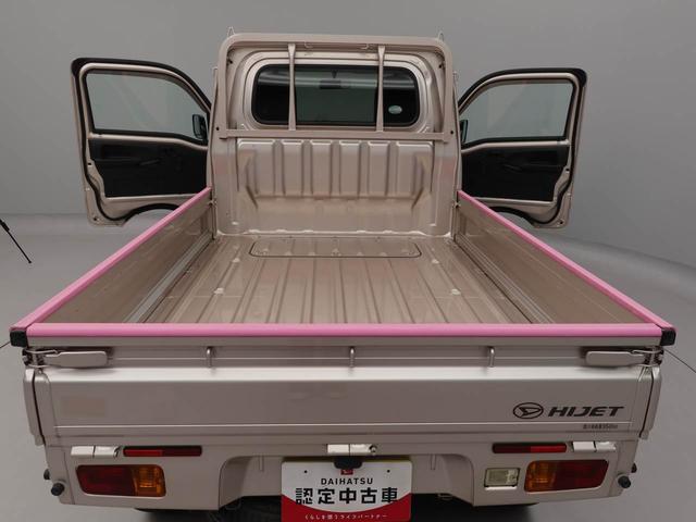 ハイゼットトラックスタンダード（愛知県）の中古車