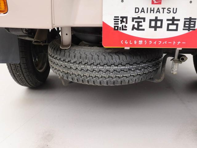 ハイゼットトラックスタンダード（愛知県）の中古車