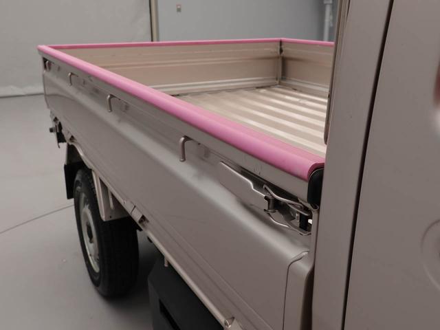 ハイゼットトラックスタンダード（愛知県）の中古車