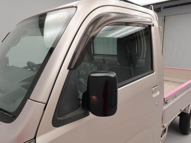 ハイゼットトラックスタンダード（愛知県）の中古車