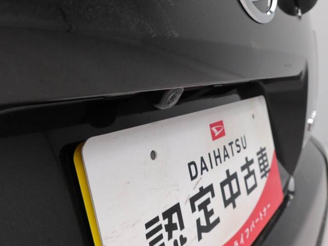 タフトＧワンオーナー　衝突回避支援ブレーキ　誤発信抑制装置　スカイフィールトップ　キーフリーシステム　プッシュスタートシステム　ＬＥＤライト（愛知県）の中古車