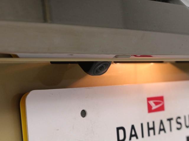 タフトＧ　ダーククロムベンチャー（愛知県）の中古車