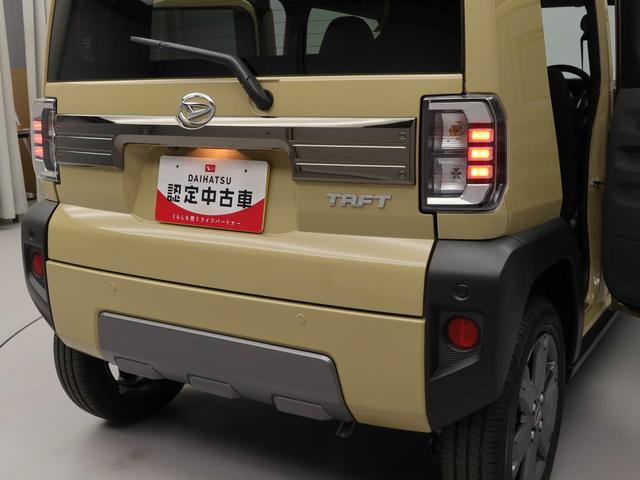 タフトＧ　ダーククロムベンチャー（愛知県）の中古車