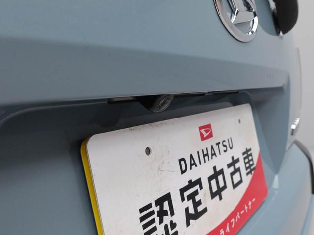 タフトＧ（愛知県）の中古車