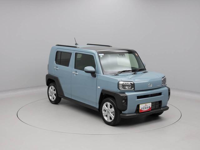 タフトＧ（愛知県）の中古車