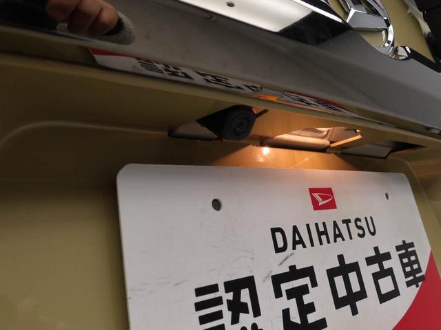 タフトＧ　ダーククロムベンチャー（愛知県）の中古車