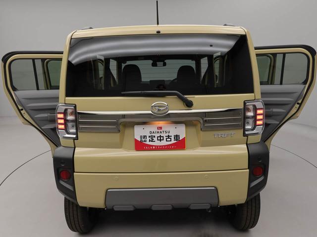 タフトＧ　ダーククロムベンチャー（愛知県）の中古車