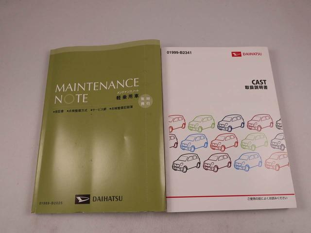 キャストアクティバＧ　ＳＡIIメモリーナビ・ＥＴＣ・キーフリー（愛知県）の中古車
