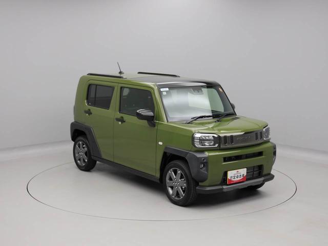タフトＧターボ　ダーククロムベンチャー（愛知県）の中古車