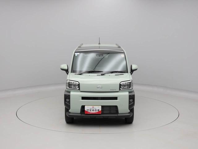 タフトG(愛知県)の中古車
