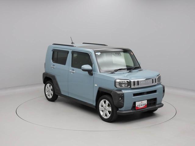 タフトG(愛知県)の中古車