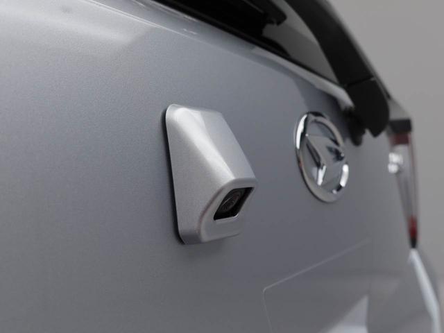 ミライースL SAIIIキーレス(愛知県)の中古車