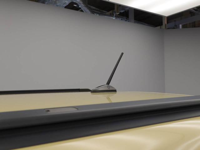 タフトGメモリーナビ パノラマカメラ(愛知県)の中古車