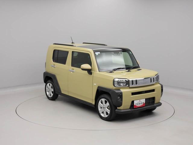タフトGメモリーナビ パノラマカメラ(愛知県)の中古車