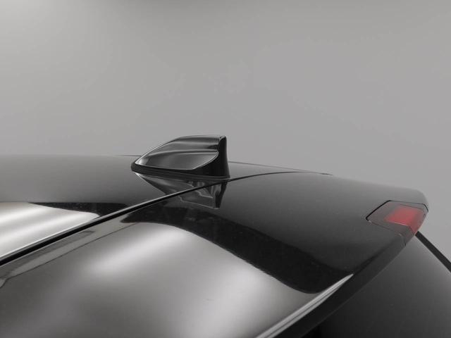 ロッキープレミアム(愛知県)の中古車