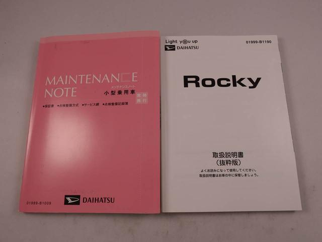 ロッキープレミアム(愛知県)の中古車