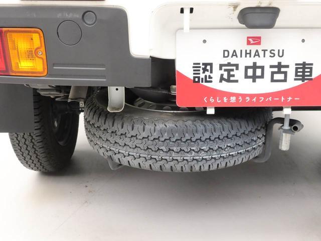 ハイゼットトラックスタンダード（愛知県）の中古車