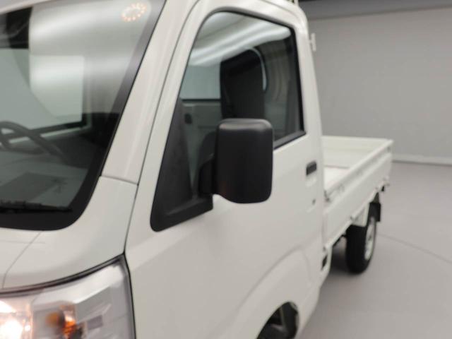 ハイゼットトラックスタンダード（愛知県）の中古車