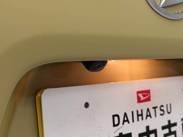 タントファンクロスターボキーフリー（愛知県）の中古車