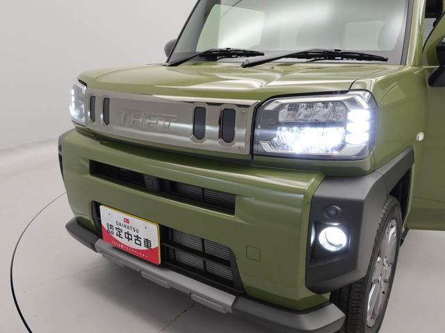 タフトＧ　ダーククロムベンチャー（愛知県）の中古車