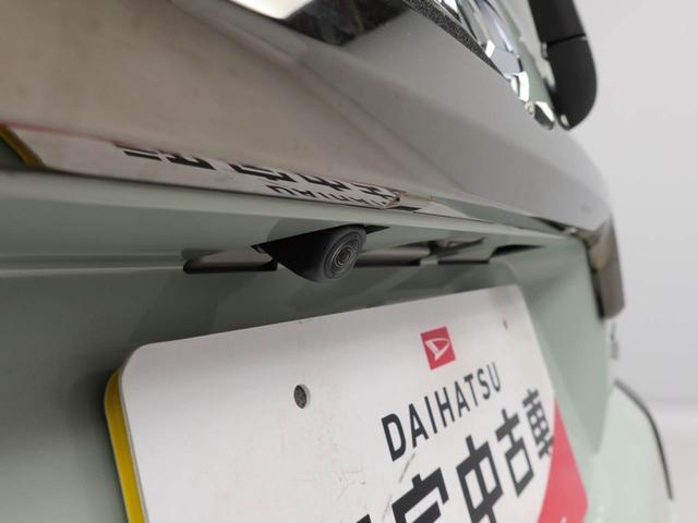 タフトＧ　ダーククロムベンチャー（愛知県）の中古車