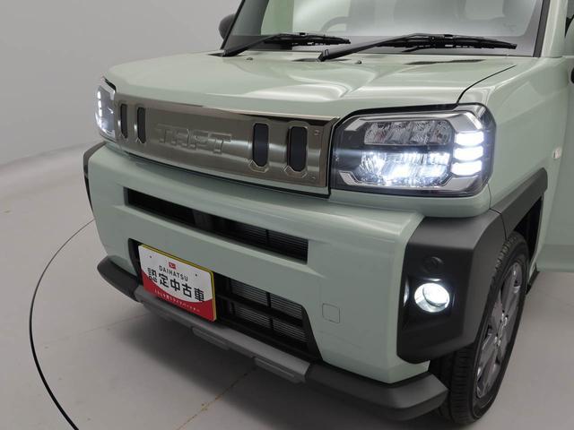 タフトＧ　ダーククロムベンチャー（愛知県）の中古車